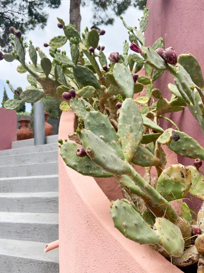Villa San Lorenzo Capitana Eksteriør billede